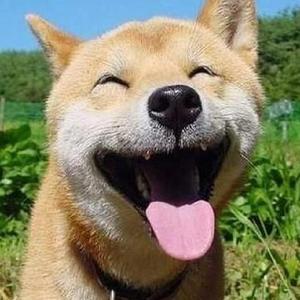 动漫插小穴视频
